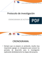 Cronograma de Actividades