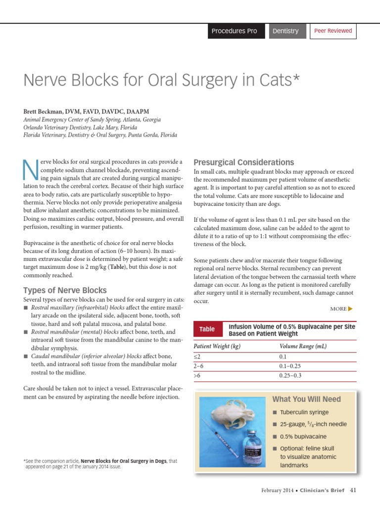Nerve Blocks for Oral Surgery in Cats Anesthesia Dentistry