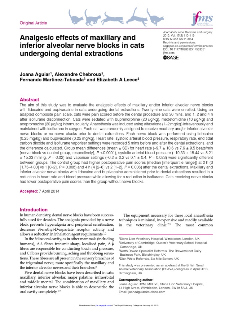 Analgesic effects of maxillary and inferior alveolar nerve blocks in
