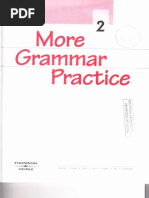 More Grammar Practice 2