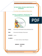 TECNICAS E INSTRUMENTOS DE ORGANIZACION.docx