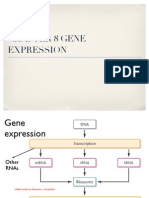 Chapter 8a Gene Expression 2 PDF