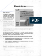 E Commerce Basico PDF
