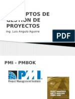  Gestion de Proyectos