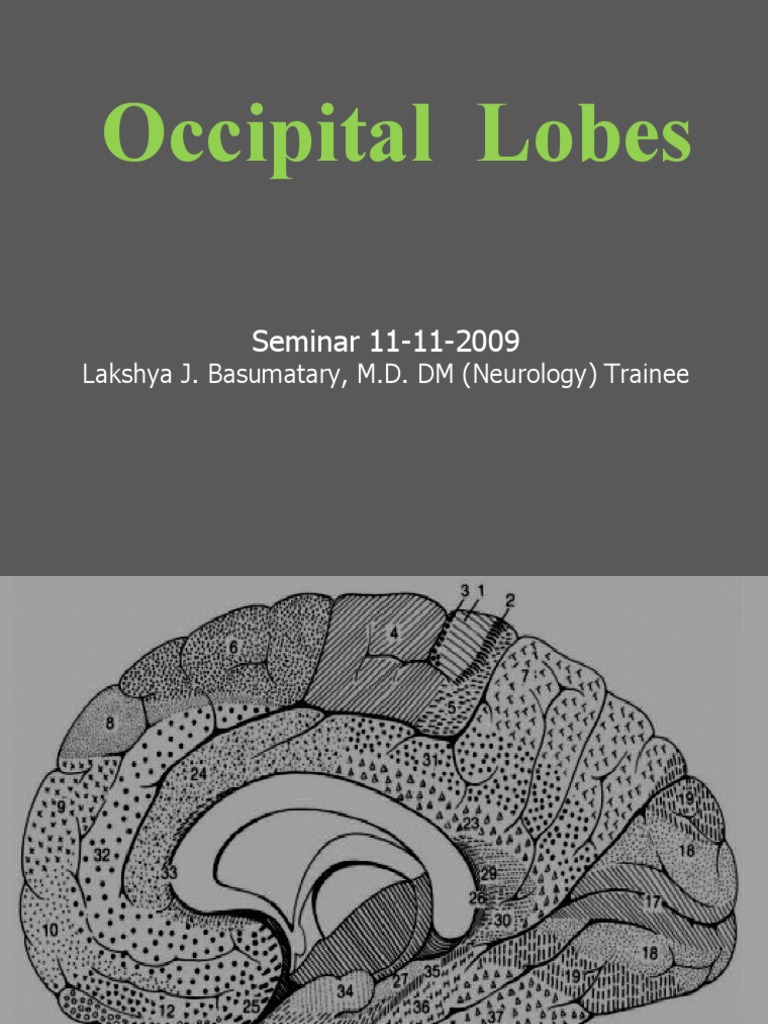 Occipital Lobe Disorders Overview | PDF | Occipital Lobe | Neurological ...