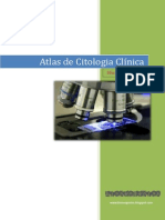 Atlas de Citologia - Microrganismos