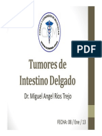 Tumor Intestino Delgado