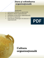 Cultura Org Coordonate 1