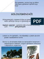 Golosjemenjače