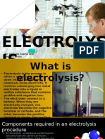 Electrolys IS: By: Dwayne Coelho and Beverly Britto