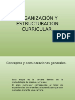 Organización y Estructuracion Curricular