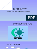 country building project