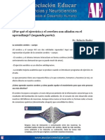 Por Qué El Ejercicio y El Cerebro Son Aliados en El Aprendizaje (Segunda Parte) .