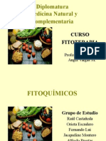 Fitoquimicos-Exposición.ppt