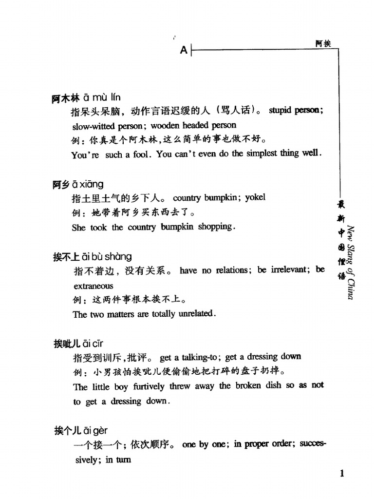 New Slang of China PDF