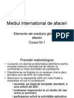 Determinanti Ai Mediului Global de Afaceri