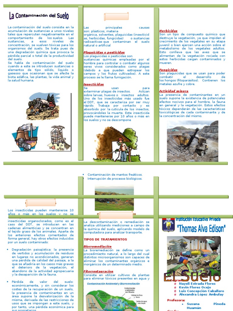 Contaminacion Del Suelo Triptico