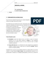 Fisiología de La Visión