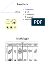 Enfermedades producidas por protozoarios -  Amebas Giardia Balantidium.pdf