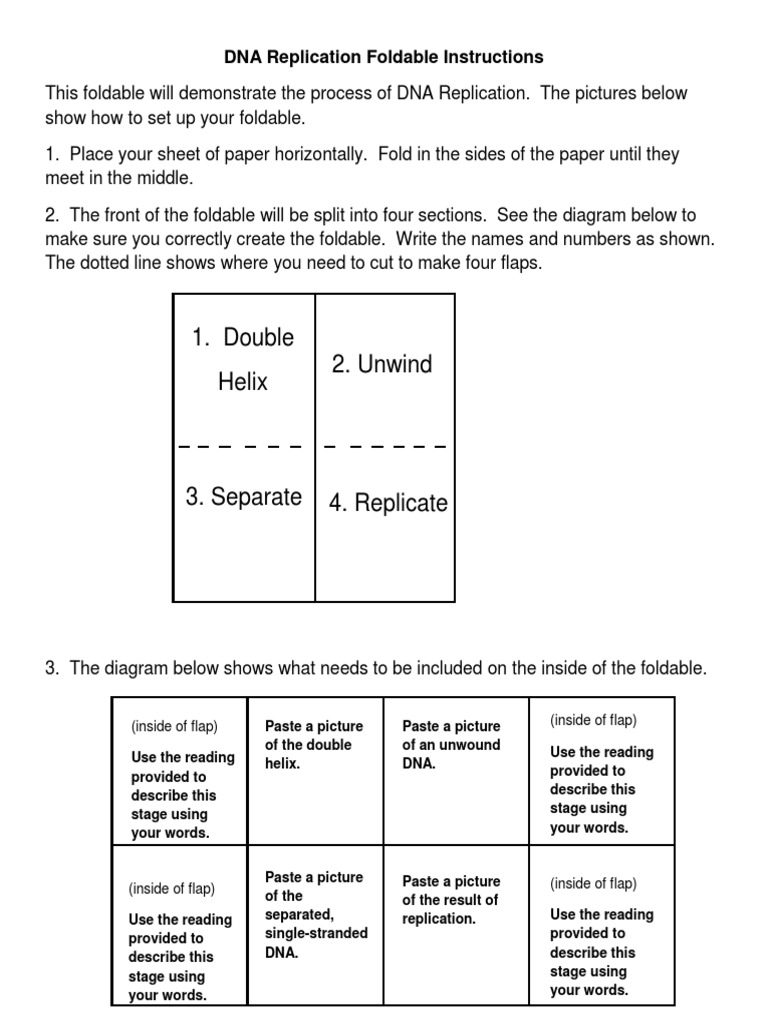 DNA Replication Foldable Guide | PDF | Teaching Methods & Materials