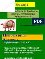 Unidad 1 Anatomia 2012