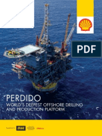 Shell Perdido Article PDF