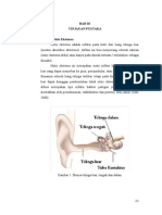 Tinjauan Pustaka Oe