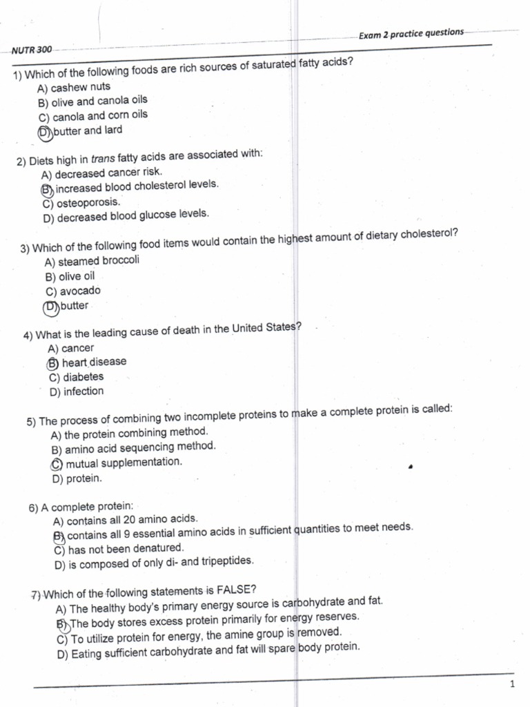 SSM PDF Testsoftware