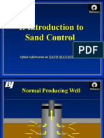 Introduction To Sand Control