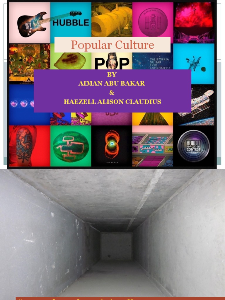 What Is Popular Culture | PDF