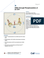 cdk1 Restrains Nhej Through Phosphorylation of Xrcc4-Like Factor xlf1