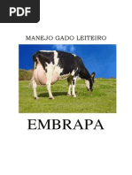 Manejo Gado Leiteiro