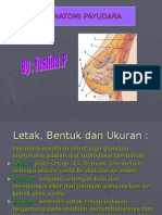 Anatomi Payudara