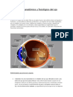 Estudio Anatómico y Fisiológico Del Ojo