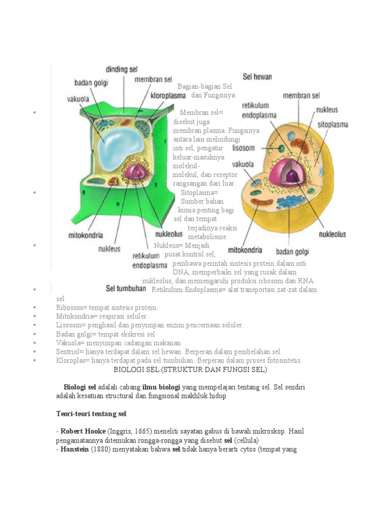 Sel Hewan Dan Tumbuhan Pdf