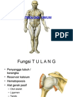 Osteologi Baru