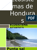 ecosistemasdehonduras-131120032429-phpapp02