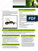 Forest Pest Profile - Leptocybe Invasa - Aug 2012 Updated PDF