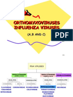 Orthomyxoviruses Orthomyxoviruses Influenza Viruses Influenza Viruses