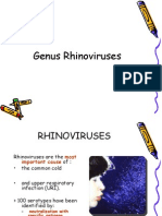 Rhino Viruses