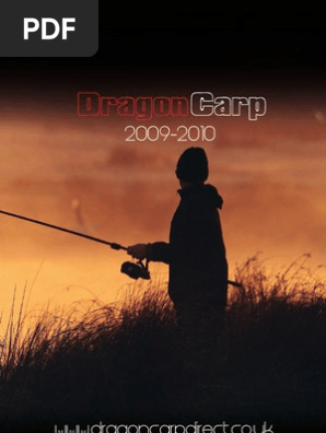 dragon carp rods