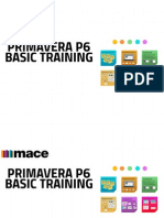 Beginner P6 Training Course Material November 2014