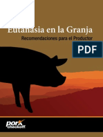 Eutanasia en Cerdo