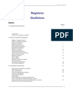 Registros Geofísicos.pdf