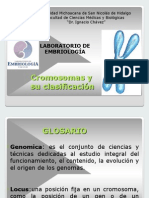 Cromosoma y Clasificacion Prepractica Oct2014 (1) (1)