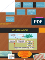 Ciclo Del Magnesio y Manganeso