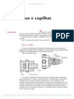05 Pinos e Cupilhas PDF