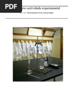 Relatório actividade experimental