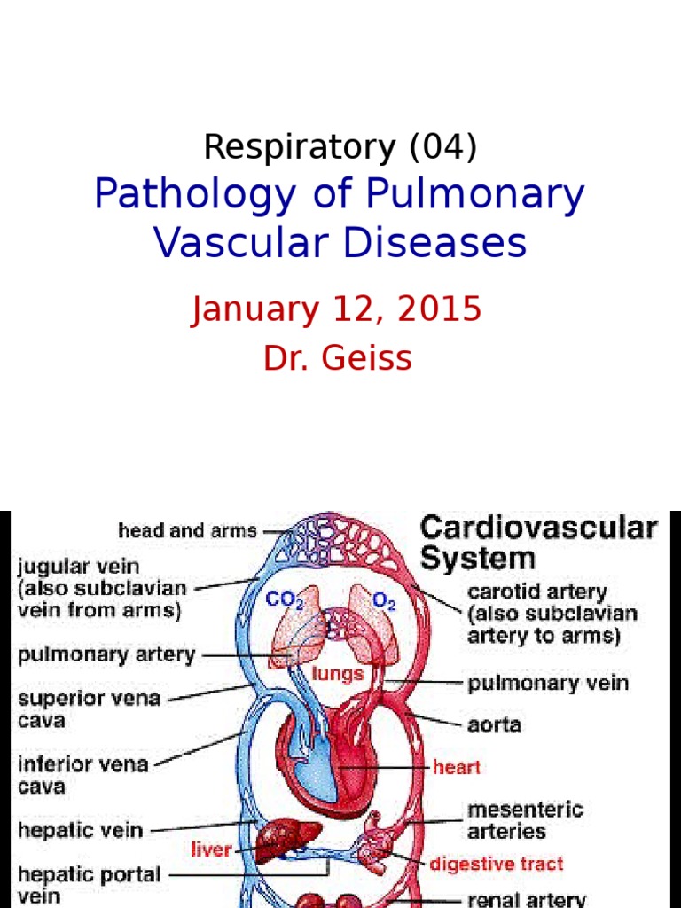 04-pathology-of-pulmonary-vascular-diseases-01-09-2015-pdf
