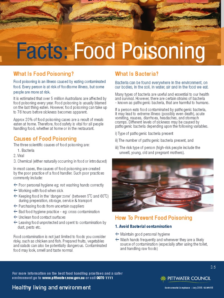 Fact Sheet Food Poisoning And Food Poisoning Bacteria Foodborne